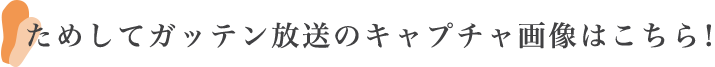 ためしてガッテン放送のキャプチャ画像はこちら！ 